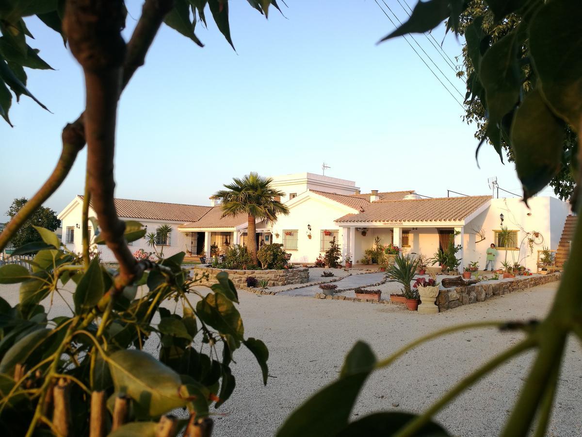 Hotel Casa Fina - Adults Recommended Conil De La Frontera Eksteriør billede